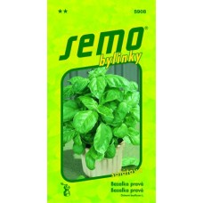 Bazalka pravá - Lettuce leaf, 1 g