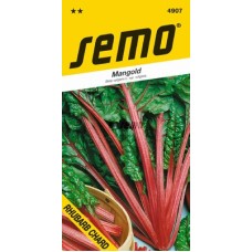 Mangold - RHUBARB CHARD 4g